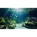 Under The Sea Aquarium Background Underwater Scene Corals Reefs Fish Tank Background Deep Ocean Sea Rock Cave Sunray Terrarium Backgrounds Underwater Marine Life Aquarium Backgrounds 30x18in