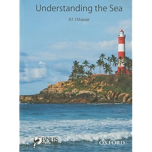 understanding the sea