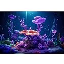 Underwater Aquarium Background Tropical Colorful Hard Corals Reef Exotic Fish Tank Background Ocean Bed Sunrays Vivid Tropical Corals Aquarium Backgrounds Under The Sea Fish Tank Backgrounds 60x24in