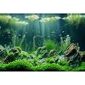 Underwater Aquarium Background Under The Sea Ocean Bed Stone Grass Leaves Fish Tank Background Vivid Fresh Aquatic Green Plants Rock with Moss Aquarium Fish Tank Backgrounds Decor Vinyl 72x18in