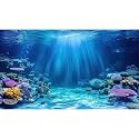 Underwater Scene Aquarium Background Under The Sea Coral Reefs Fish Tank Background Ocean Seabed Scene Sand Rocky Outcrops Terrarium Backgrounds Sunray Tropical Marine Life Tank Backgrounds 72x16in