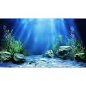 Underwater Scene Aquarium Background Under The Sea Coral Reefs Fish Tank Background Ocean Bottom Scene Sand Rocky Outcrops Terrarium Backgrounds Tropical Undersea Life View Tank Backgrounds 36x20in