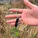 Black and Gold Foil Design Resin Alphabet Initial Letter Keychain Key Ring for Men Women Girls Purse Handbags | Black | H2-L0UR-B8L7_New