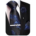 Unique Paisley Ties for Men Silk Neck Tie and Pocket Square Set with Tie Clip Lapel Pin Wedding Formal