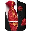 Unique Paisley Ties for Men Silk Neck Tie and Pocket Square Set with Tie Clip Lapel Pin Wedding Formal