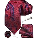 Unique Paisley Ties for Men Silk Neck Tie and Pocket Square Set with Tie Clip Lapel Pin Wedding Formal