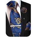 Unique Paisley Ties for Men Silk Neck Tie and Pocket Square Set with Tie Clip Lapel Pin Wedding Formal