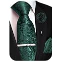 Unique Paisley Ties for Men Silk Neck Tie and Pocket Square Set with Tie Clip Lapel Pin Wedding Formal