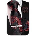 Unique Paisley Ties for Men Silk Neck Tie and Pocket Square Set with Tie Clip Lapel Pin Wedding Formal