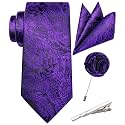 Unique Paisley Ties for Men Silk Neck Tie and Pocket Square Set with Tie Clip Lapel Pin Wedding Formal