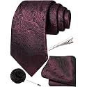 Unique Paisley Ties for Men Silk Neck Tie and Pocket Square Set with Tie Clip Lapel Pin Wedding Formal