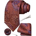 Unique Paisley Ties for Men Silk Neck Tie and Pocket Square Set with Tie Clip Lapel Pin Wedding Formal
