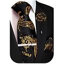Unique Paisley Ties for Men Silk Neck Tie and Pocket Square Set with Tie Clip Lapel Pin Wedding Formal