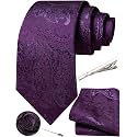 Unique Paisley Ties for Men Silk Neck Tie and Pocket Square Set with Tie Clip Lapel Pin Wedding Formal