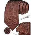 Unique Paisley Ties for Men Silk Neck Tie and Pocket Square Set with Tie Clip Lapel Pin Wedding Formal