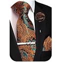 Unique Paisley Ties for Men Silk Neck Tie and Pocket Square Set with Tie Clip Lapel Pin Wedding Formal