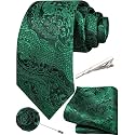 Unique Paisley Ties for Men Silk Neck Tie and Pocket Square Set with Tie Clip Lapel Pin Wedding Formal