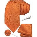 Unique Paisley Ties for Men Silk Neck Tie and Pocket Square Set with Tie Clip Lapel Pin Wedding Formal