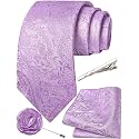 Unique Paisley Ties for Men Silk Neck Tie and Pocket Square Set with Tie Clip Lapel Pin Wedding Formal