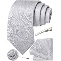 Unique Paisley Ties for Men Silk Neck Tie and Pocket Square Set with Tie Clip Lapel Pin Wedding Formal