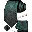 Unique Paisley Ties for Men Silk Neck Tie and Pocket Square Set with Tie Clip Lapel Pin Wedding Formal