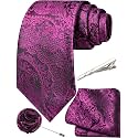 Unique Paisley Ties for Men Silk Neck Tie and Pocket Square Set with Tie Clip Lapel Pin Wedding Formal