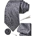 Unique Paisley Ties for Men Silk Neck Tie and Pocket Square Set with Tie Clip Lapel Pin Wedding Formal