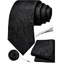 Unique Paisley Ties for Men Silk Neck Tie and Pocket Square Set with Tie Clip Lapel Pin Wedding Formal