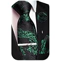 Unique Paisley Ties for Men Silk Neck Tie and Pocket Square Set with Tie Clip Lapel Pin Wedding Formal