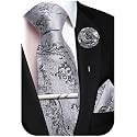 Unique Paisley Ties for Men Silk Neck Tie and Pocket Square Set with Tie Clip Lapel Pin Wedding Formal