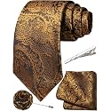 Unique Paisley Ties for Men Silk Neck Tie and Pocket Square Set with Tie Clip Lapel Pin Wedding Formal