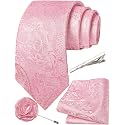 Unique Paisley Ties for Men Silk Neck Tie and Pocket Square Set with Tie Clip Lapel Pin Wedding Formal