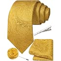 Unique Paisley Ties for Men Silk Neck Tie and Pocket Square Set with Tie Clip Lapel Pin Wedding Formal