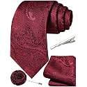 Unique Paisley Ties for Men Silk Neck Tie and Pocket Square Set with Tie Clip Lapel Pin Wedding Formal