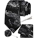 Unique Paisley Ties for Men Silk Neck Tie and Pocket Square Set with Tie Clip Lapel Pin Wedding Formal