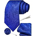 Unique Paisley Ties for Men Silk Neck Tie and Pocket Square Set with Tie Clip Lapel Pin Wedding Formal