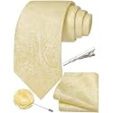 Unique Paisley Ties for Men Silk Neck Tie and Pocket Square Set with Tie Clip Lapel Pin Wedding Formal