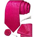 Unique Paisley Ties for Men Silk Neck Tie and Pocket Square Set with Tie Clip Lapel Pin Wedding Formal