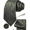 Unique Paisley Ties for Men Silk Neck Tie and Pocket Square Set with Tie Clip Lapel Pin Wedding Formal