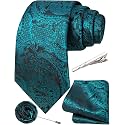 Unique Paisley Ties for Men Silk Neck Tie and Pocket Square Set with Tie Clip Lapel Pin Wedding Formal