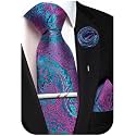 Unique Paisley Ties for Men Silk Neck Tie and Pocket Square Set with Tie Clip Lapel Pin Wedding Formal