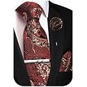 Unique Paisley Ties for Men Silk Neck Tie and Pocket Square Set with Tie Clip Lapel Pin Wedding Formal