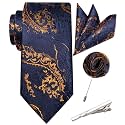Unique Paisley Ties for Men Silk Neck Tie and Pocket Square Set with Tie Clip Lapel Pin Wedding Formal