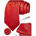 Unique Paisley Ties for Men Silk Neck Tie and Pocket Square Set with Tie Clip Lapel Pin Wedding Formal