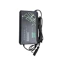 Universal 60V 3A Lead Acid Charger for EV Vehicle, Scooty, Bike, 5 Batteries