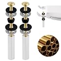 Universal Solid Brass Toilet Seat Screws, 2 Pcs Metal Toilet Seat Bolts