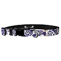 University of Washington Paw Print Swirl Wear Adjustable Collar, 1"/Large