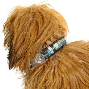 unleash super light weight dog belt - adjustable dog collar ideal dogs belt for dogs ensuring visibility and comfort green check medium