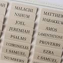 UPAFEXXI-Laminated Bible Tabs with Book Summaries, Bible Study Supplies