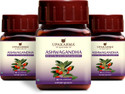 UPAKARMA Ayurveda Organic Ashwagandha 500mg - 90 Veg Capsules Pure Extract - Stress Relief, Anti-Anxiety, Mood Enhancer, Immune & Thyroid Support 45 Days of Supply (Pack of 3)